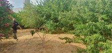 House for sale, 6 rooms, LE BOUSQUET D'ORB (34)