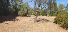 House for sale, 8 rooms, LE BOSC (34)