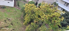  ARCACHON secteur Aiguillon Appartement T2 SH 44.86m2 