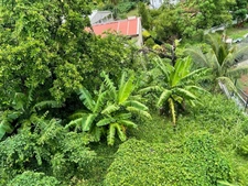 Dpt Martinique (972), à vendre LE ROBERT maison type T4 de 90,37 m² sur  Terrain de 613,00 m² 