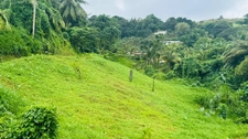 Terrain à vendre  d'environ 765 m2 à SAINTE MARIE (972)