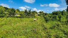 Terrain à vendre de 1 866,00 m² DUCOS (972) QUARTIER GRANDE SAVANE 