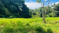 Terrain à vendre de 1 866,00 m² DUCOS (972) QUARTIER GRANDE SAVANE 