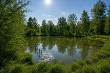 Moulin du XVII siècle dans un écrin de nature - 2 hectares avec étang