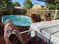 🌿 FENIOUX – Le calme absolu, de beaux volumes et une piscine !