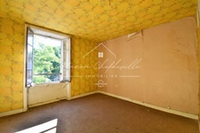 Ensemble immobilier À RÉNOVER – 3 LOTS – 231,74 m² – LANOBRE (15)