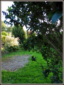 A vendre cette maison à Veules Les Roses.