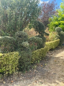 Maison à vendre 6 pièces CHILLEURS AUX BOIS (45)