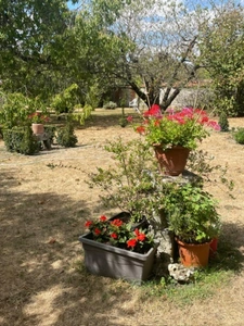 Maison à vendre 6 pièces CHILLEURS AUX BOIS (45)