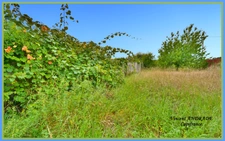 Maison à vendre 5 pièces FONTENAY LES BRIIS (91)- dépendances