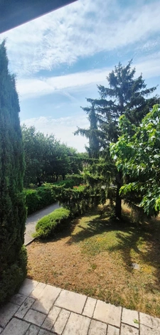 Maison de caractère 6 pièces – 4 chambres – piscine 10×5 sur 1 800 m² arborés et clos