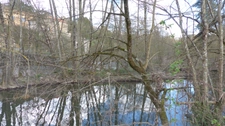 Two ISLANDS for sale AIRVAULT (79) 2345 m²