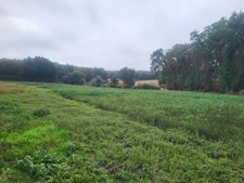 FERME à vendre THENEZAY (79)