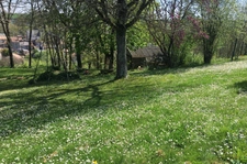 Maison à vendre 10 pièces SAINT LOUP LAMAIRE (79) 5 755 m² de TERRAIN
