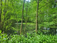 Terrain de Loisirs avec ETANG et bois à vendre  GLENAY (79) 4985 m²