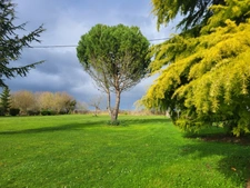 House for sale, 6 rooms, AIRVAULT (79), Land 5,188 m²