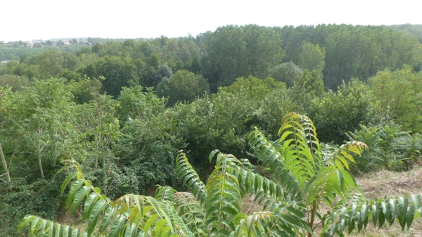 Terrain à vendre  AVAILLES THOUARSAIS (79)