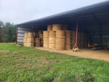 FERME à vendre THENEZAY (79)