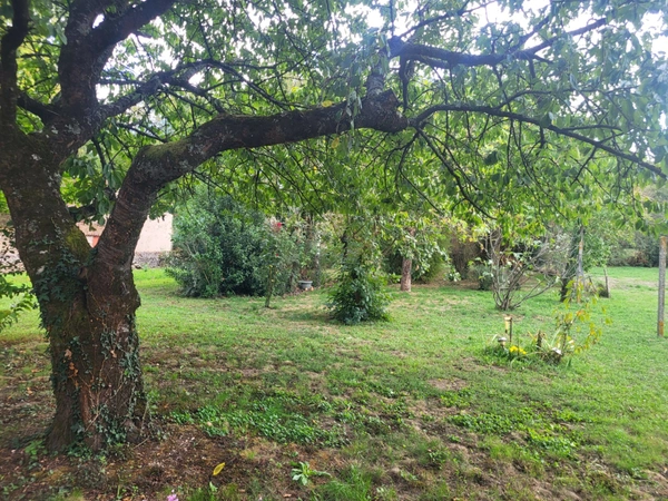 Maison à vendre 6 pièces MAISONTIERS (79) Terrain 2 380 m²