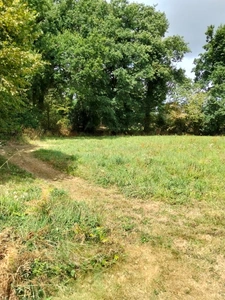  Rare : Terrain constructible de 1358 m² dans un cadre verdoyant - CHATEAUNEUF DU FAOU (29)