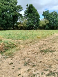  Rare : Terrain constructible de 1358 m² dans un cadre verdoyant - CHATEAUNEUF DU FAOU (29)