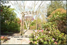 Maison en pierre à vendre 6 pièces 194 m²    LANDEVANT (56) Morbihan Sud en BRETAGNE 