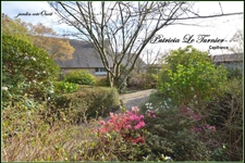 Maison en pierre à vendre 6 pièces 194 m²    LANDEVANT (56) Morbihan Sud en BRETAGNE 