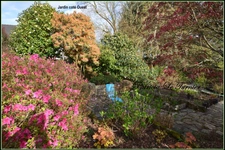Maison en pierre à vendre 6 pièces 194 m²    LANDEVANT (56) Morbihan Sud en BRETAGNE 
