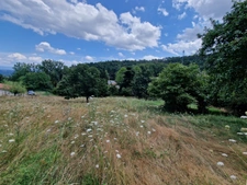 Land for sale of 1271 m² facing SOUTH in the commune of MARCOUX, 12 minutes from MONTBRISON