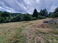 Land for sale of 1271 m² facing SOUTH in the commune of MARCOUX, 12 minutes from MONTBRISON