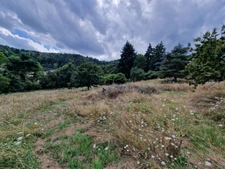 Land for sale of 1271 m² facing SOUTH in the commune of MARCOUX, 12 minutes from MONTBRISON