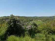 MAISON A VENDRE SAINT GERMAIN LAVAL - 141 m² - 5 CHAMBRES POSSIBLES - CAVE - JARDIN 