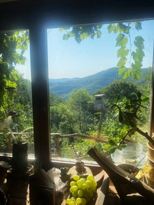 Belle maison Ardéchoise avec gîtes sur le terrain de 9950m²