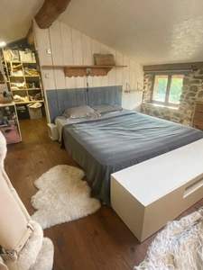 Maison à vendre 4 pièces avec Gîtes indépendants SAINT JULIEN DU GUA (07)
