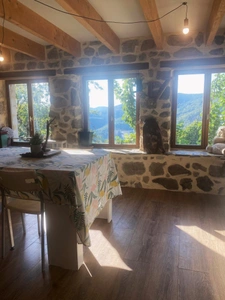 Belle maison Ardéchoise avec gîtes sur le terrain de 9950m²