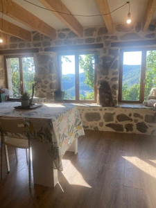 Maison à vendre 4 pièces avec Gîtes indépendants SAINT JULIEN DU GUA (07)