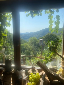 Maison à vendre 4 pièces avec Gîtes indépendants SAINT JULIEN DU GUA (07)