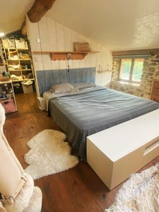 Belle maison Ardéchoise avec gîtes sur le terrain de 9950m²