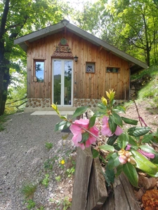Maison à vendre 4 pièces avec Gîtes indépendants SAINT JULIEN DU GUA (07)