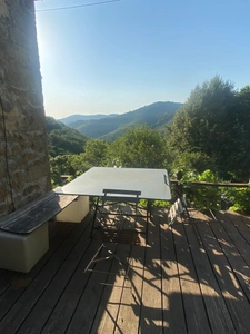 Belle maison Ardéchoise avec gîtes sur le terrain de 9950m²