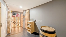 Loft à Chalon-Sur-Saône (71) Loft climatisé à vendre de 11 pièces terrasse piscine garage 412.4 m²
