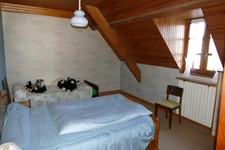 Maison 6 chambres avec 4600m2 de jardin, grand sous-sol, possibilité de vie en plain-pied (Calvinet-Puycapel, 15)