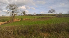 Terrain à vendre  MAURS (15)