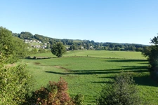 Maison 6 chambres avec 4600m2 de jardin, grand sous-sol, possibilité de vie en plain-pied (Calvinet-Puycapel, 15)