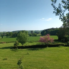 Maison plain-pied, restaurée, avec sous-sol et jardin, proche commerces et services médicaux
