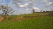 Terrain à vendre  MAURS (15)