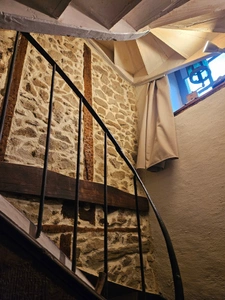 Grande maison rénovée avec atelier ou local commercial, terrasse panoramique et jardin (Mourjou - Puycapel, 15)