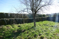 Maison en pierre avec petit jardin proche commerces et services (Puycapel-Calvinet, 15)