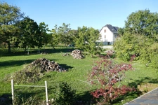 Maison 6 chambres avec 4600m2 de jardin, grand sous-sol, possibilité de vie en plain-pied (Calvinet-Puycapel, 15)