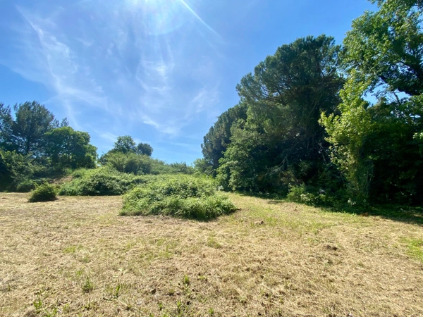 Villa d’exception à rénover – Parc arboré de 3 906 m² – Clapiers